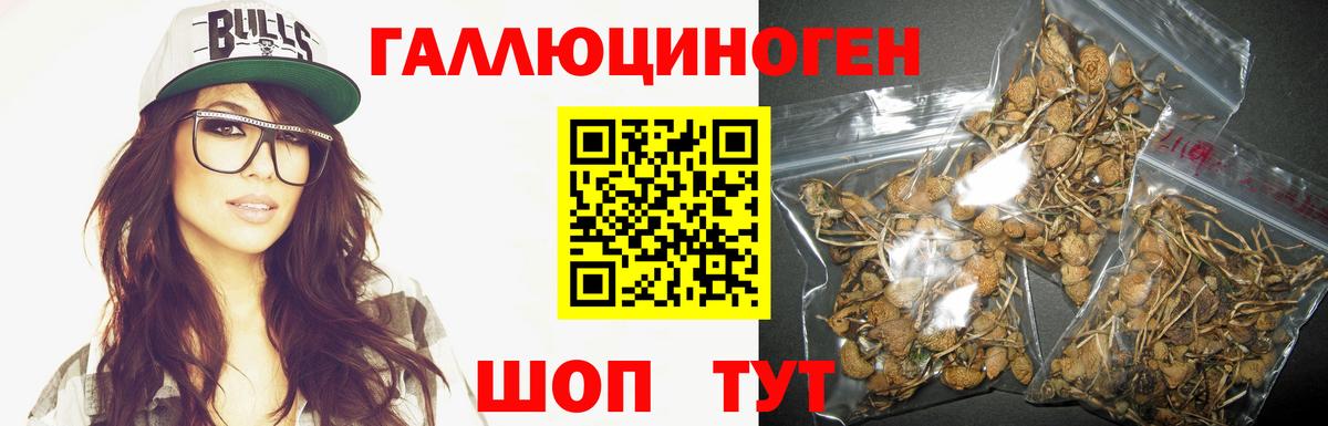 Галлюциногенные грибы Psilocybine cubensis  Вход с VPN  Саяногорск 